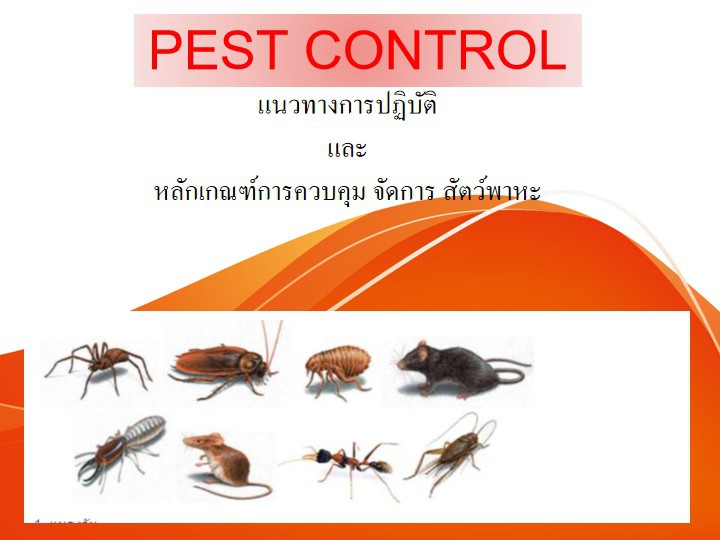 อบรมออนไลน์ (Zoom) หลักสูตร  หลักสูตร การบริหารจัดการ การควบคุมแมลงและ สัตว์พาหะนำโรค (PEST Control and Management)